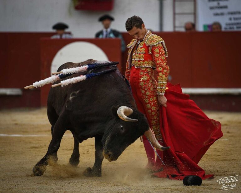 Autres corridas : Adrien Salenc, seul épi avec les &lsquo;pedrazas&rsquo; à Mimizán