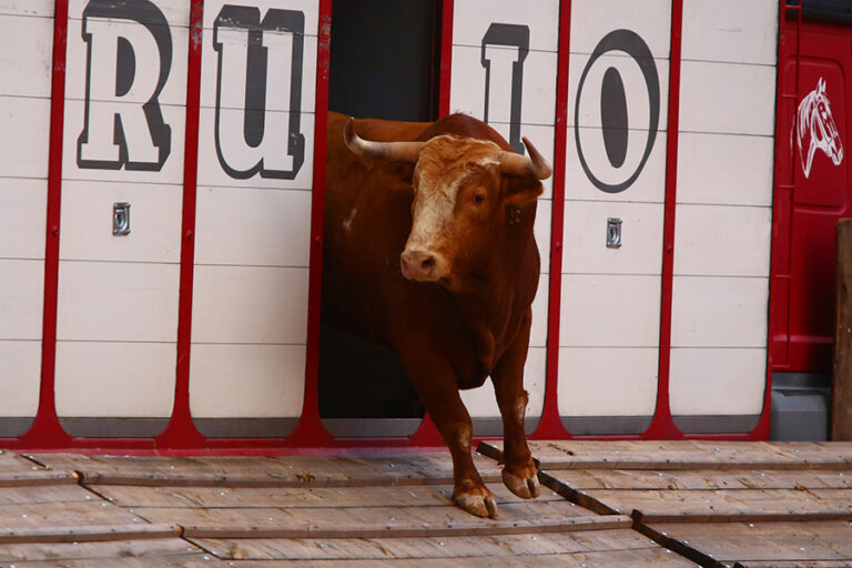Ce fut le démêlage passionnant de Colmenar Viejo