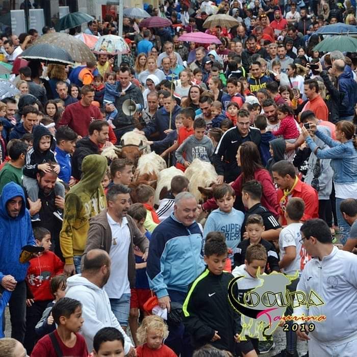 L&rsquo;exemple d&rsquo;Arganda : Course des taureaux et des charrettes