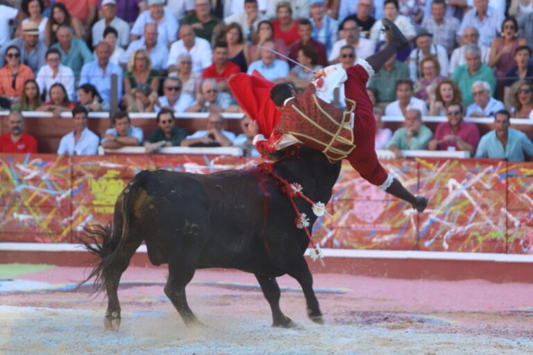 « Octavio Chacón avait beaucoup de mérite.  Il a demandé au médecin de l&rsquo;opérer et son seul souhait était de sortir son deuxième taureau &lsquo;