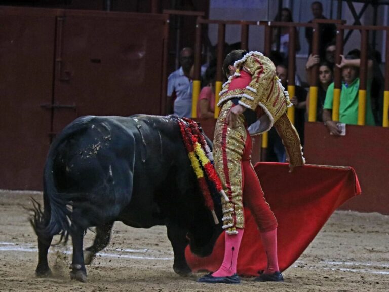 Oreille pour Salenc et retour sur le ring pour Fernando Adrián lors de la dernière de la Foire d&rsquo;août d&rsquo;Arganda