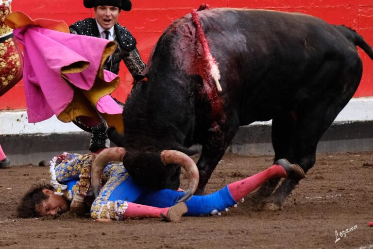 Roberto Domínguez : « Roca Rey fera tout son possible pour être à Bilbao »