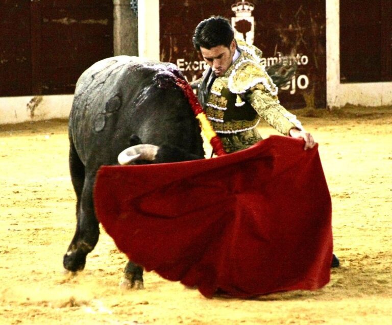 Symphonies de Garrido : un mois d&rsquo;août triomphal