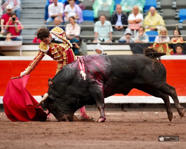 Víctor Hernández et Mario Navas : une île dans l&rsquo;océan de Bilbao