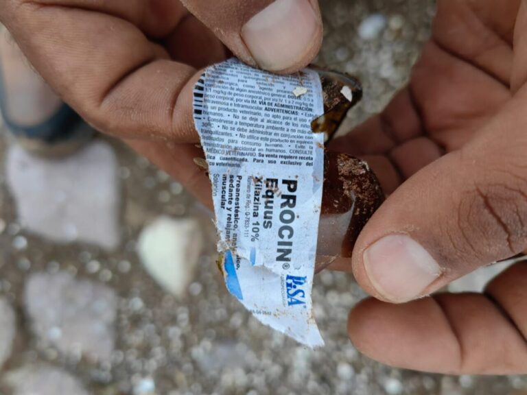 Don Bull Productions déposera une plainte pénale pour l&rsquo;altération des taureaux à Zacatecas