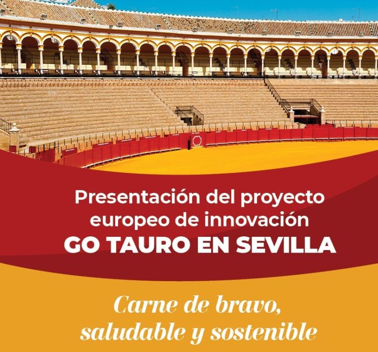 Le projet d&rsquo;innovation Taurus est présenté ce mercredi à Séville