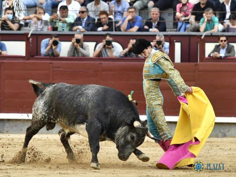 Arturo Gilio , porte-drapeau du Mexique dans les grands événements de la novillada