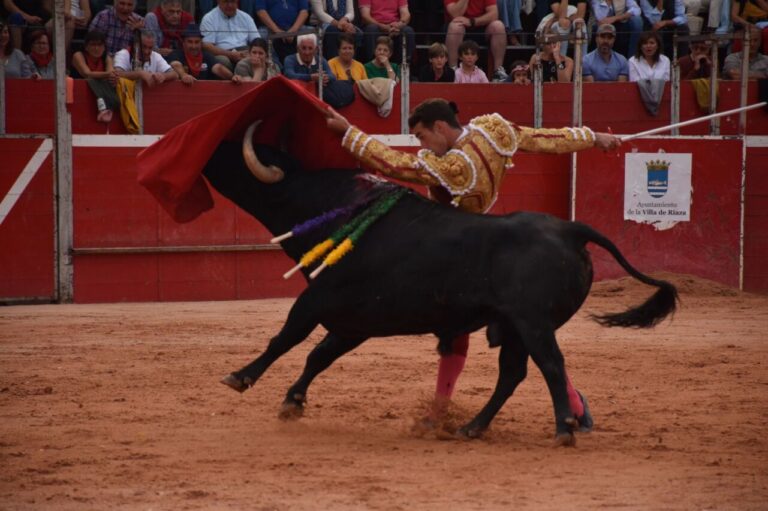 Avancez… Plus de pistes : Morenito de Aranda, trois épis à Aire Sur L&rsquo;Adour ;  Oreille pour Javier Cortés et Fernando Adrián à l&rsquo;équateur de Riaza