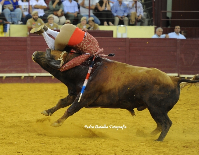 &lsquo;Charruas&rsquo; avec condition romaine la fin de la saison de Lisbonne