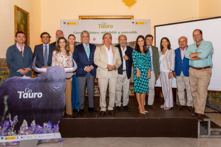 Complet à la présentation du projet d&rsquo;innovation TAURO à Séville