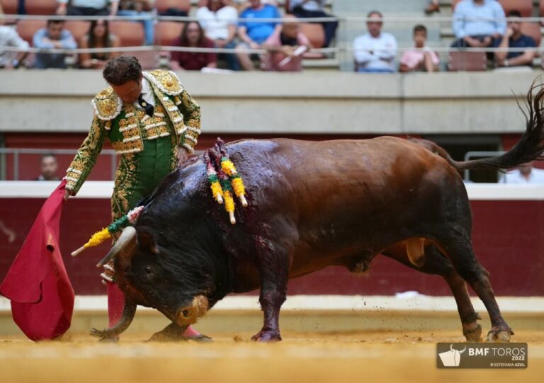 Antonio Ferrera revient à ses origines au Portugal