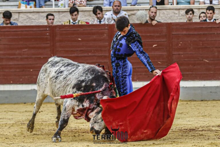 « Je débute avec l&rsquo;idée d&rsquo;être un novillero de premier plan en 2023 »