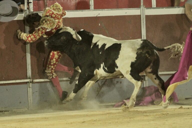 José María Trigueros se coupe une oreille et se blesse lors du premier à Calasparra