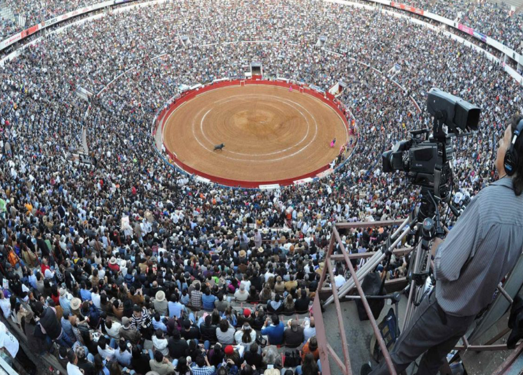 La SCJN reconnaît l&rsquo;intérêt national de la tauromachie et sa valeur culturelle (avenant de donner des taureaux au CDMX)