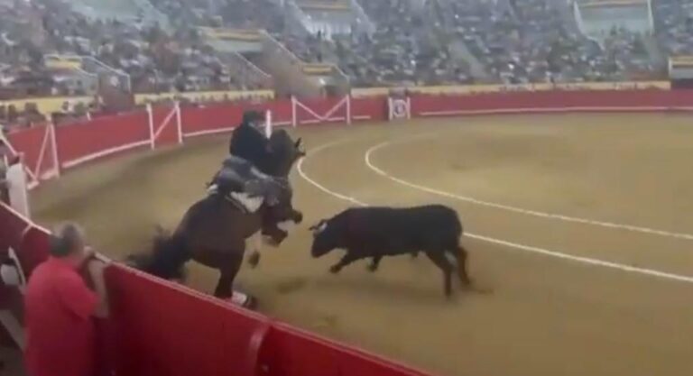 &lsquo;La Venturina&rsquo;: extase à Navalcarnero