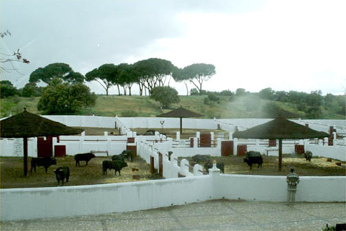 Les taureaux de Las Ventas reviennent à El Batán