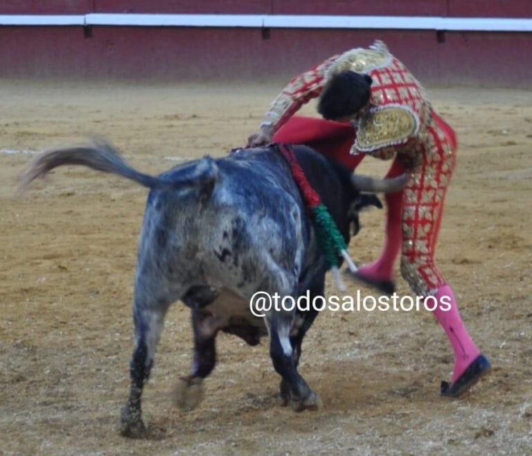 Manuel Diosleguarde commence à montrer des signes d&rsquo;amélioration aux soins intensifs