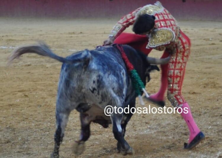 &lsquo;Merci au Dr Marta Pérez et à son équipe.  Ce sont de vrais anges pour les toreros&rsquo;