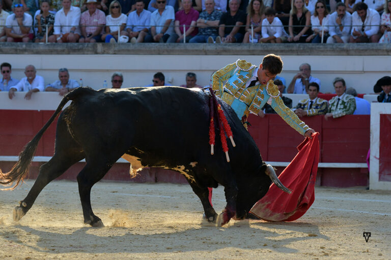 Pinar, Parejo et les ranchs de Miura et Margé, vainqueurs de Béziers