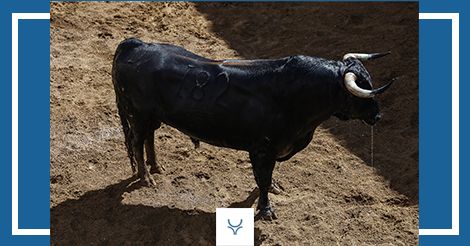 « Prisonnier », de Juan Pedro Domecq, clôturera la Foire de San Miguel à la Maestranza