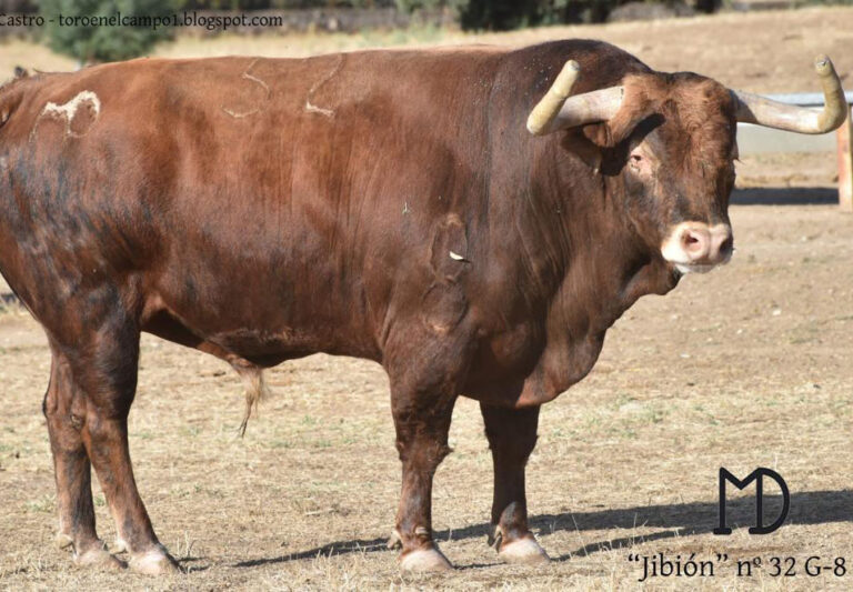Superbe corrida de Montealto pour Bargas