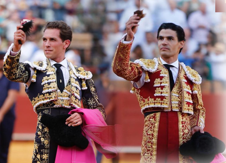 Tâches à deux catégories |  worldtoro.com