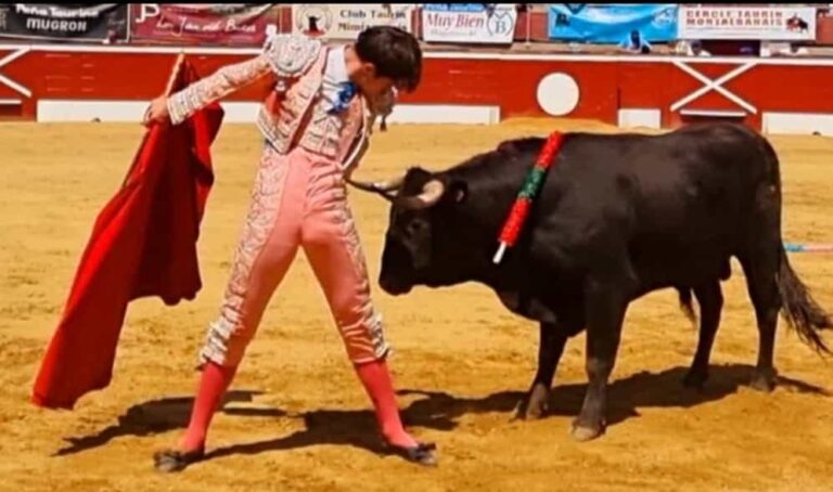 Timbre Cristiano Torres, l&rsquo;événement des toreros sans chevaux