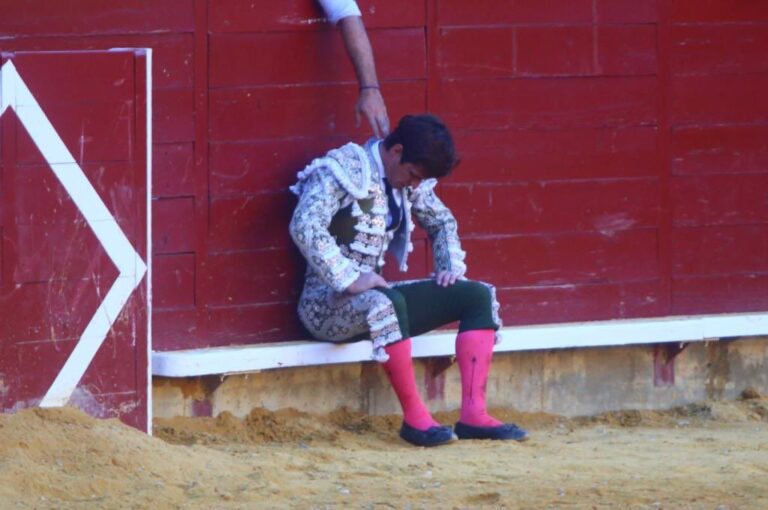 « Tout est fait pour qu&rsquo;El Juli réapparaisse à Valladolid »