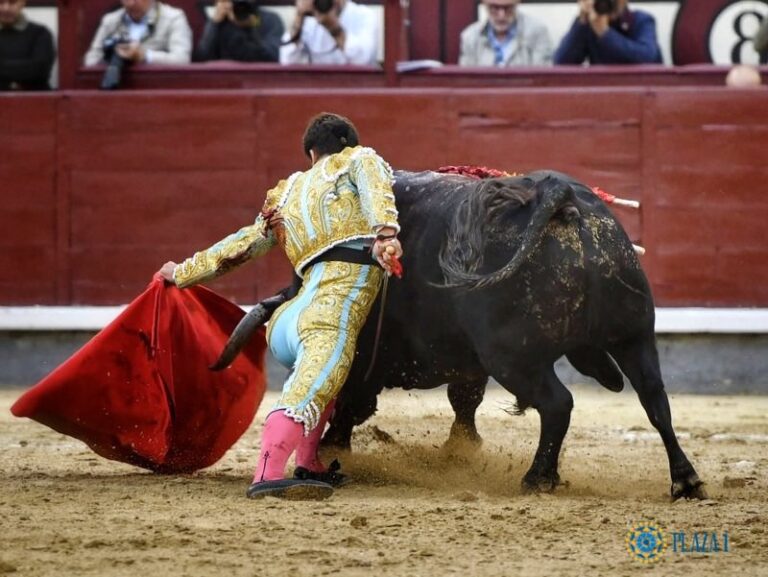 Un taureau prompt et gourmand de La Palmosilla donne argument au concours de corrida de Las Ventas