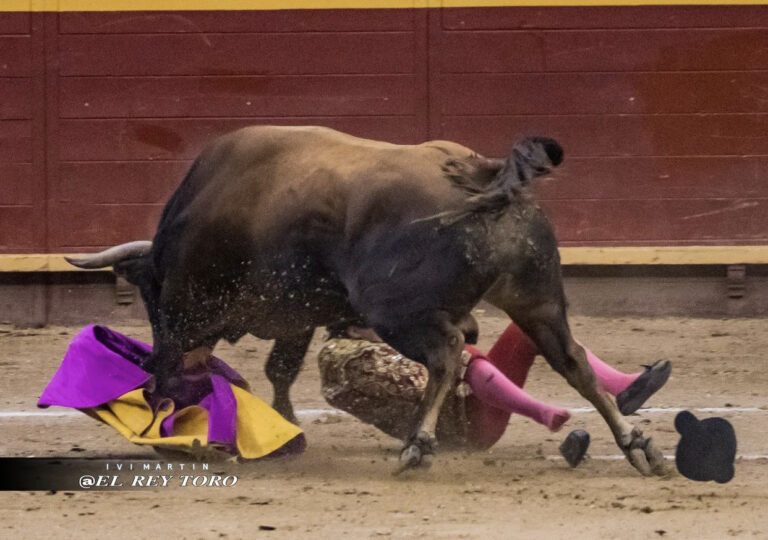 « Une blessure abdominale est exclue et il a déjà été transféré à l&rsquo;hôpital &lsquo;Asepeyo&rsquo; de Coslada »