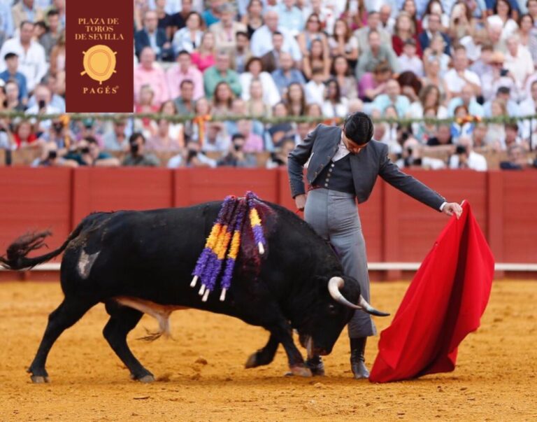 Le grand travail de Pablo Aguado dans la Maestranza