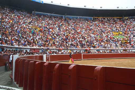Tauroemoción présente une Ferión pour que la tauromachie continue de battre à Cali (Affiches)