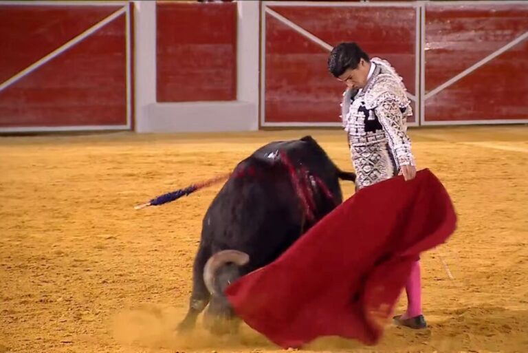 Aguado termine sa saison avec la tauromachie