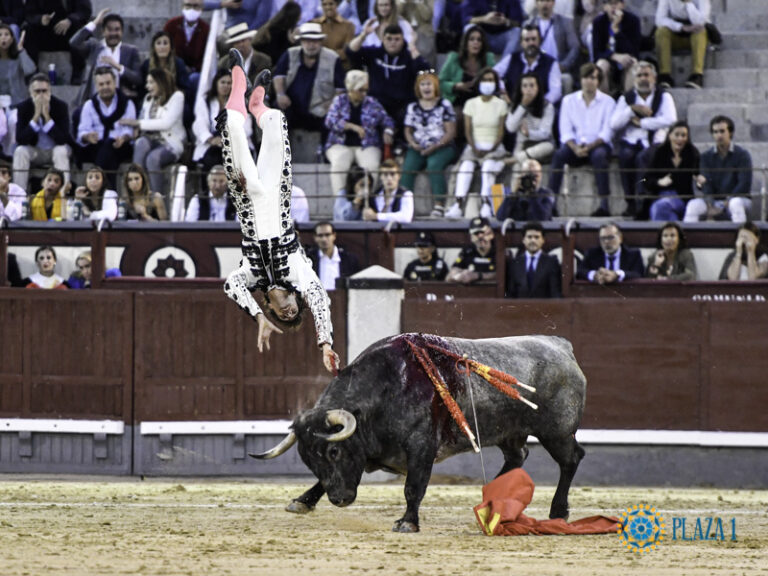 Blessure à la tête et encornement à la cuisse gauche d&rsquo;Ángel Sánchez après deux violents combats à Las Ventas (Vidéo et partie médicale)
