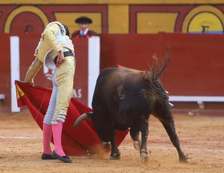 Brillant après-midi pour Diego García, Valence et El Melli triomphent à Algésiras