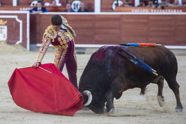 Garantie El Montecillo : viser la France en 2023