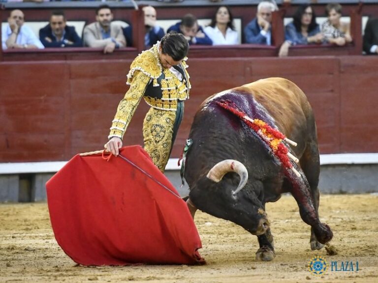 Ils ne veulent pas se battre comme les autres