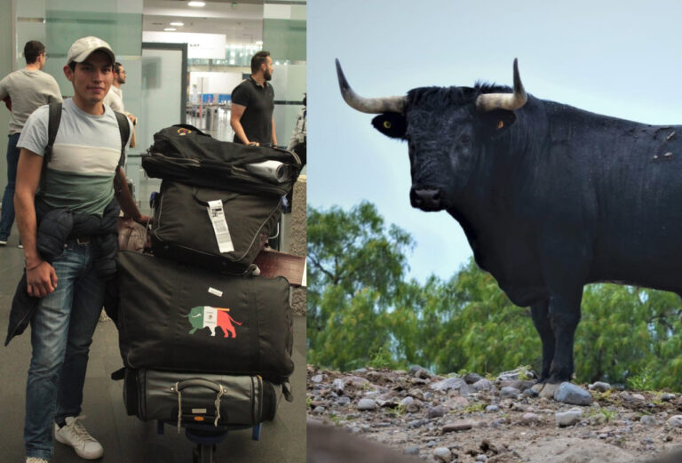 Isaac Fonseca présente par surprise à l&rsquo;aéroport de Mexico les taureaux de son confinement à Morelia