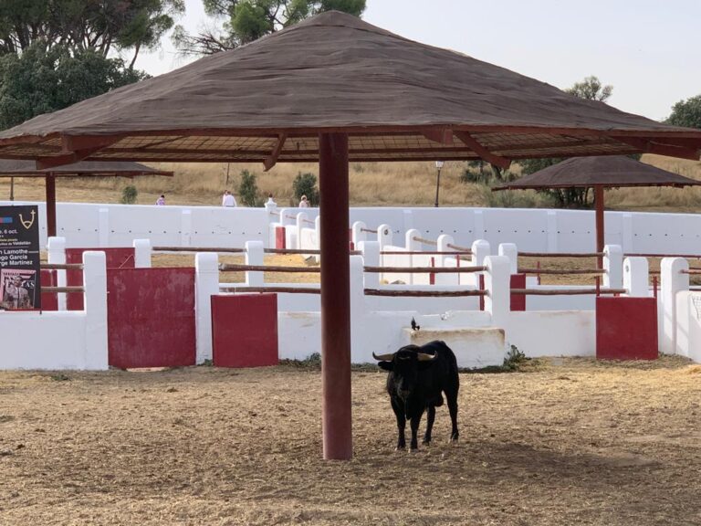 Le Valdellán se dirige vers Madrid: une réclamation à El Batán