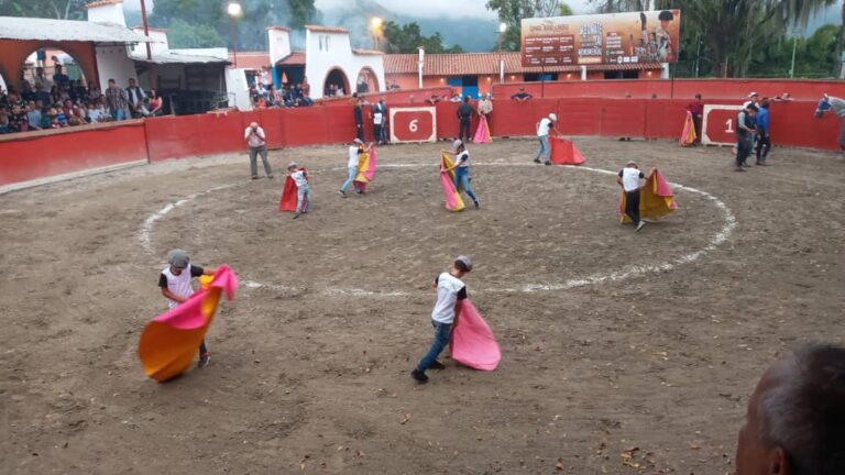 Le calvaire d&rsquo;une école taurine