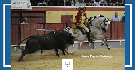 Le grand piège de Salgueiro da Costa à Vila Franca de Xira, en images