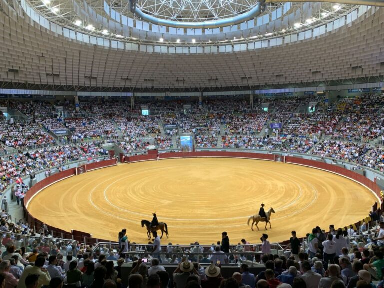 Les arènes de Burgos, en compétition depuis trois ans et sans canon