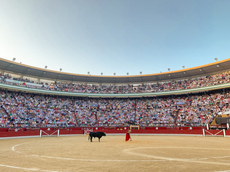 Les toreros et Tauroemoción décident de faire une tombola à Jaén pour que la ville ne manque pas de taureaux