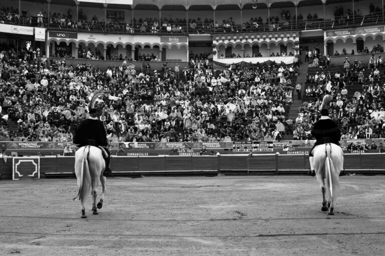 Manizales lance ce soir sa foire « Bulls and City »