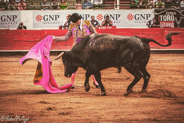 Rubén Núñez: « J&rsquo;ai le privilège de combattre dans une arène comme Acho »