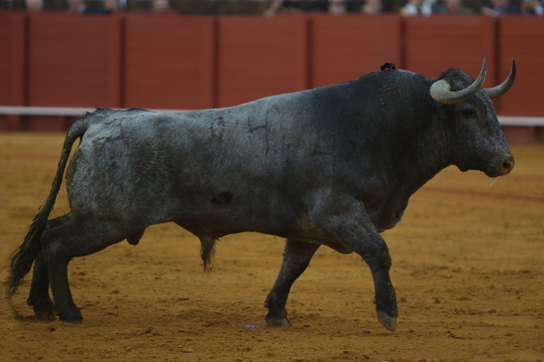 Séville : les fermes de la saison 2023