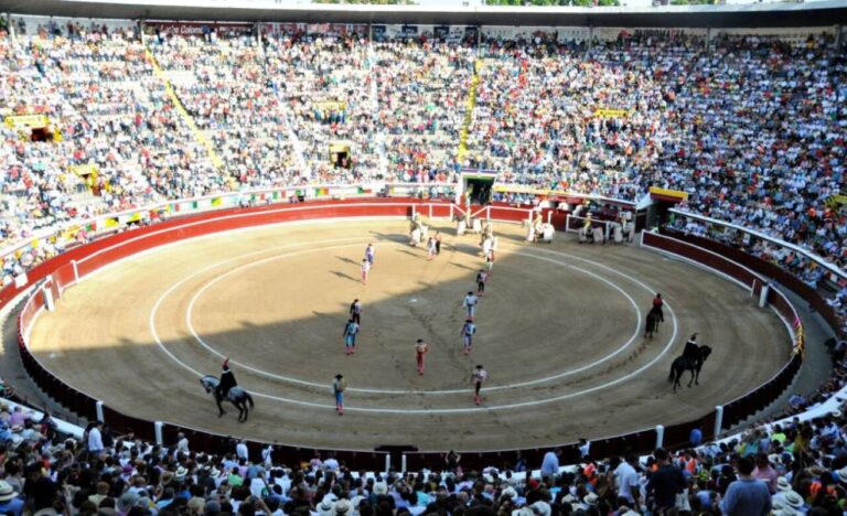 Tauroemoción officialisera la Foire de Cali 2022 ce soir