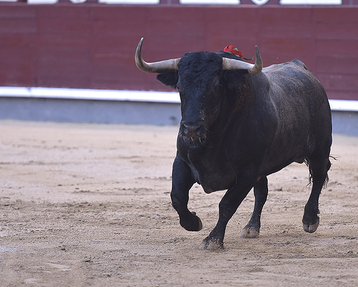 Les ventes continuent de soutenir la variété d&rsquo;encarts