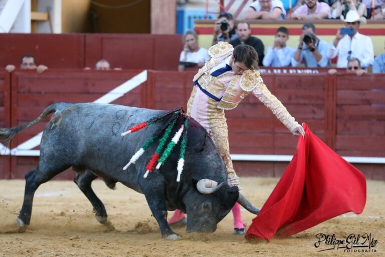 Adrián de Torres, vainqueur de Cendrillon