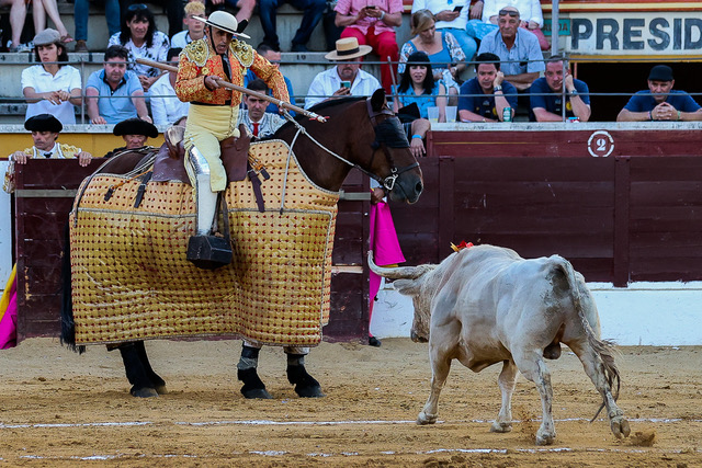 Diversité et torismo dans sa forme la plus pure dans les fermes bovines pour le jour de 3 Puyazos